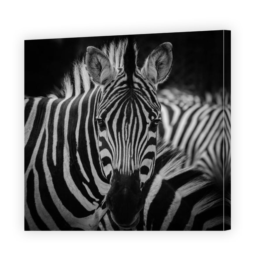 Thumbnail for Canvas - Mirror Image Canvas Wrap