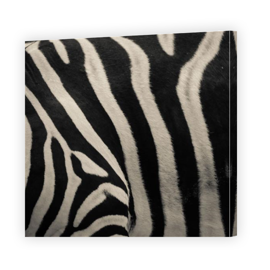 Thumbnail for Canvas - Mirror Image Canvas Wrap