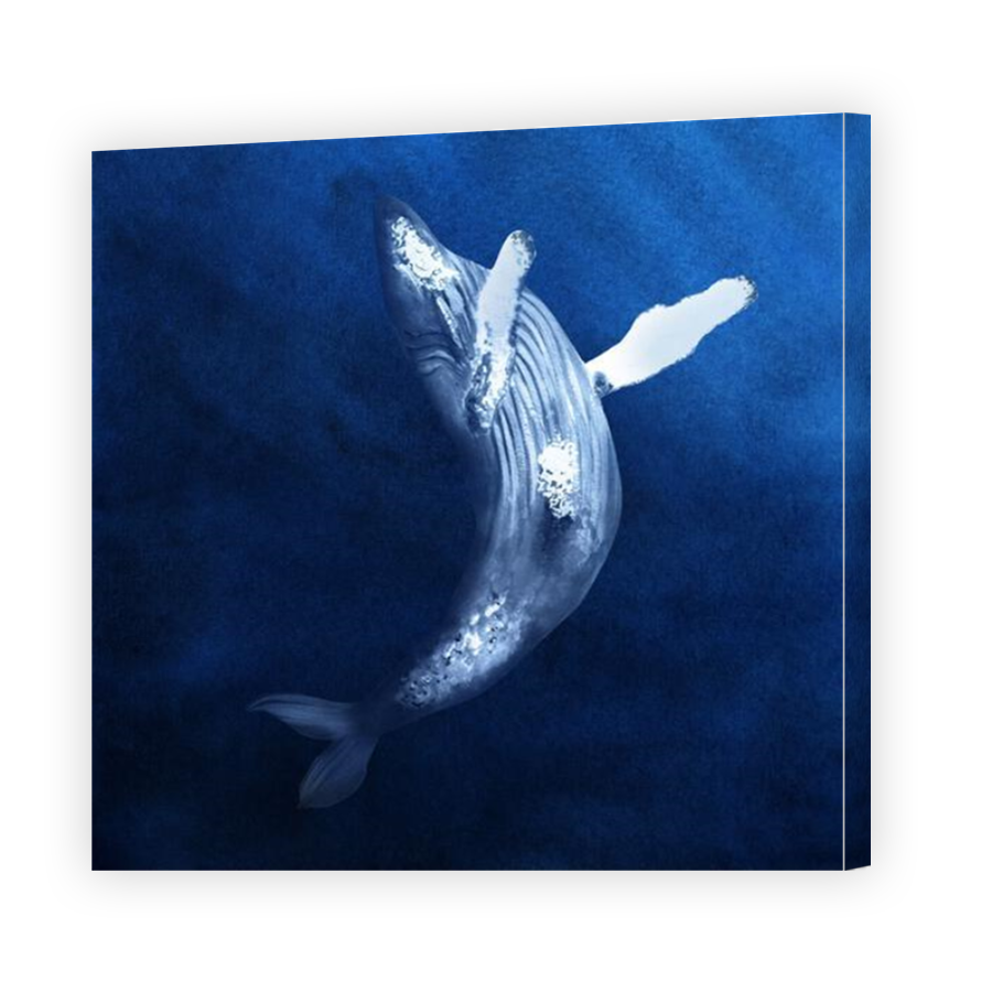Thumbnail for Canvas - Mirror Image Canvas Wrap
