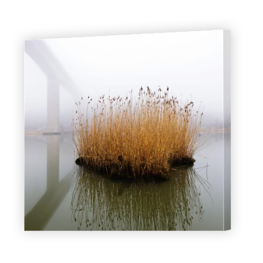Thumbnail for Canvas - Mirror Image Canvas Wrap