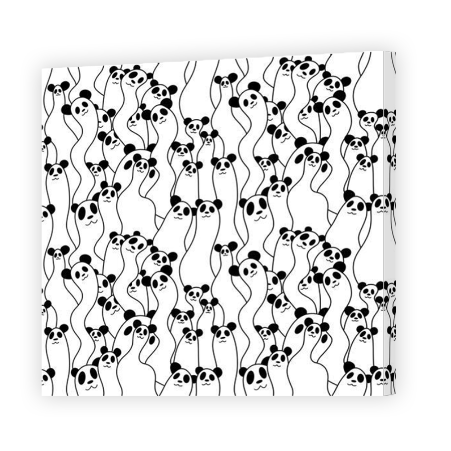 Thumbnail for Canvas - Mirror Image Canvas Wrap