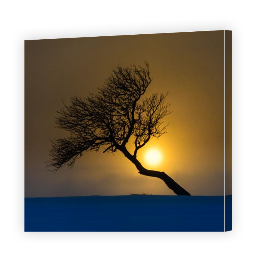 Thumbnail for Canvas - Mirror Image Canvas Wrap