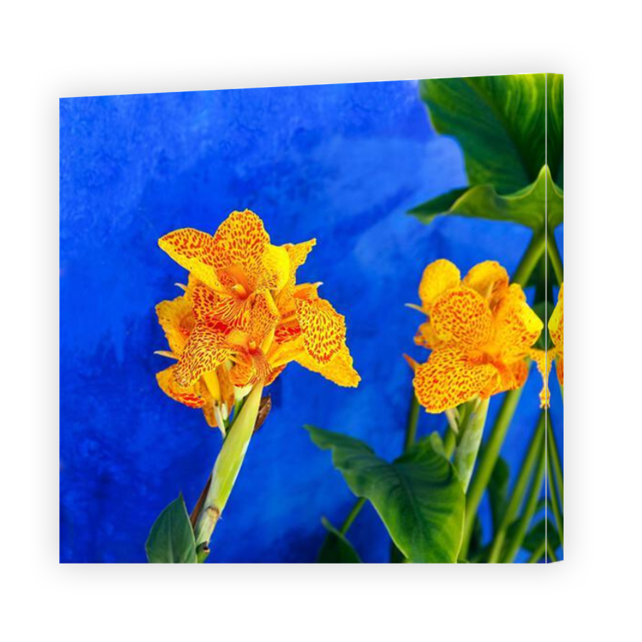 Thumbnail for Canvas - Mirror Image Canvas Wrap