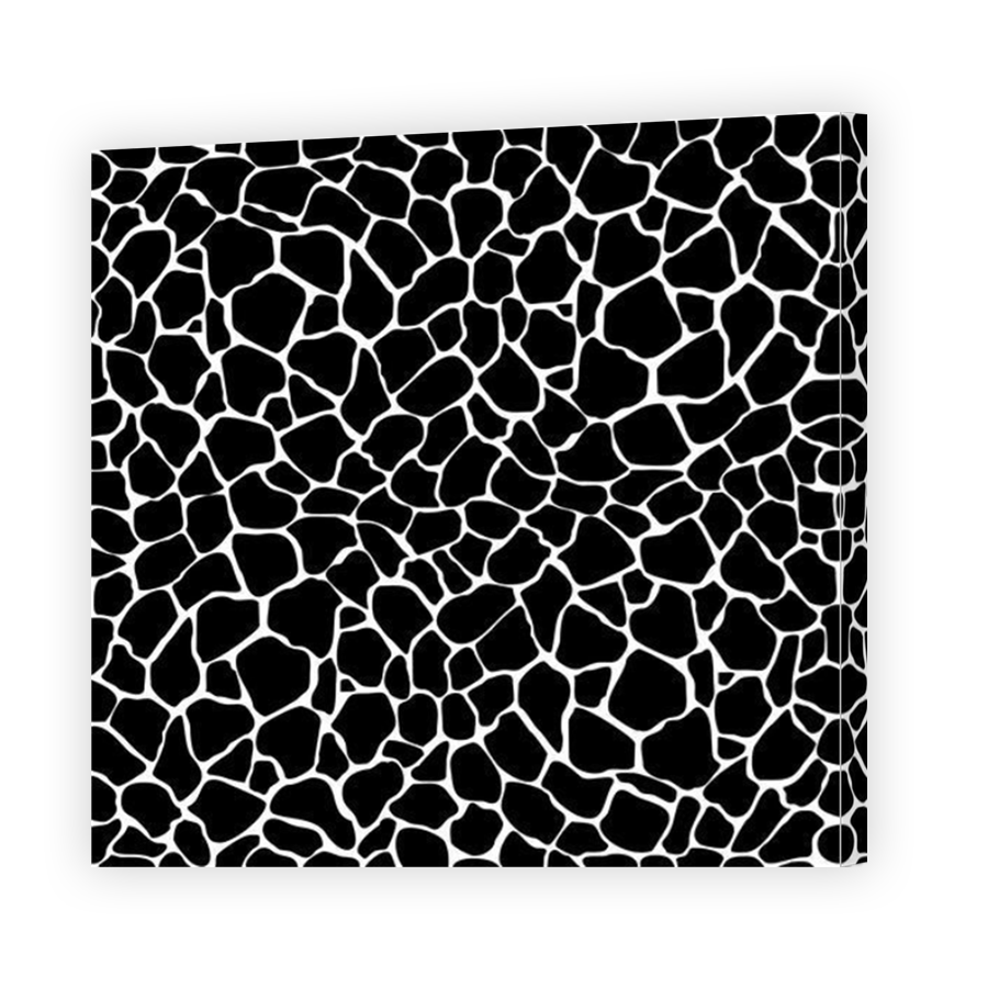 Thumbnail for Canvas - Mirror Image Canvas Wrap