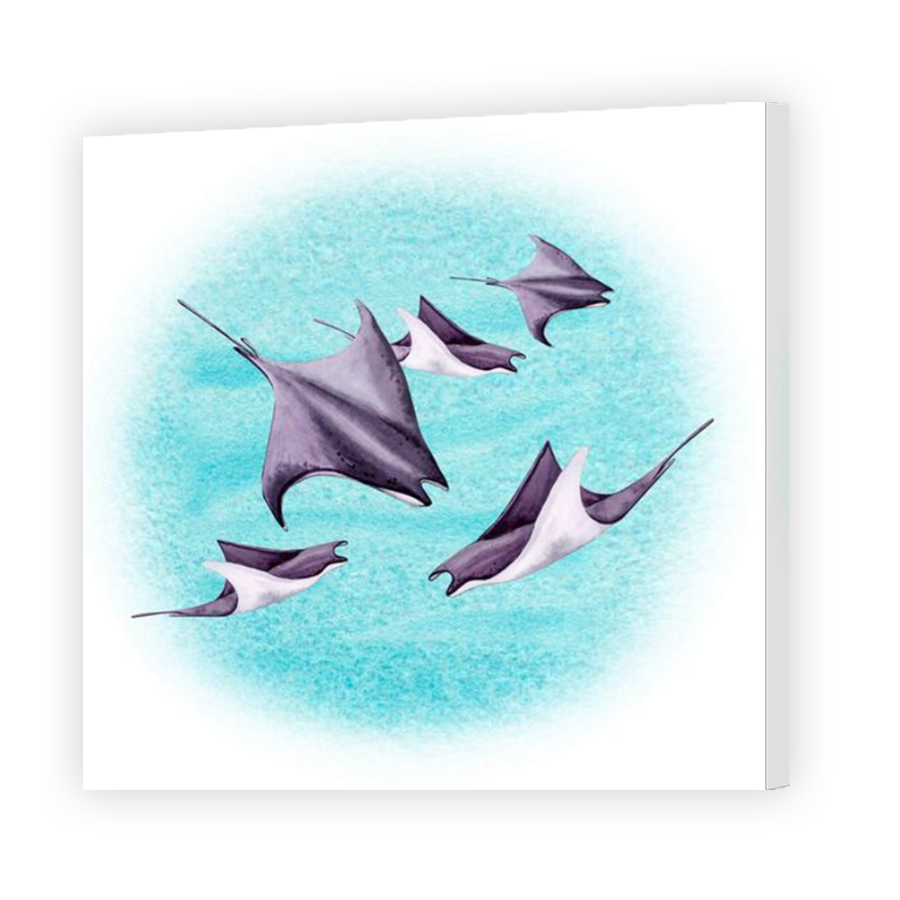 Thumbnail for Canvas - Mirror Image Canvas Wrap