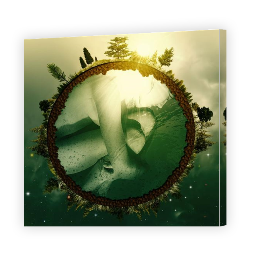 Thumbnail for Canvas - Mirror Image Canvas Wrap
