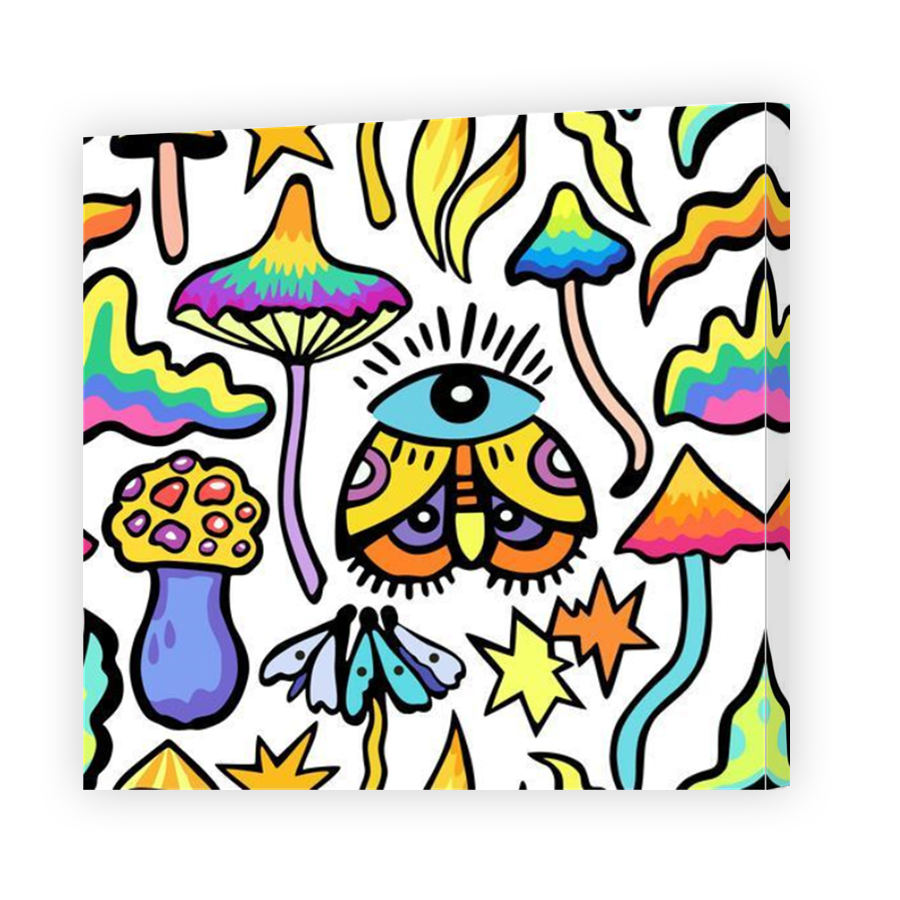 Thumbnail for Canvas - Mirror Image Canvas Wrap