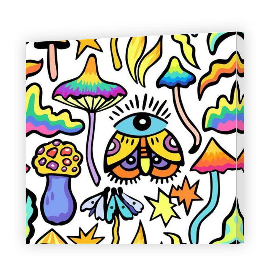 Thumbnail for Canvas - Mirror Image Canvas Wrap