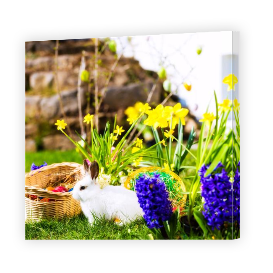 Thumbnail for Canvas - Mirror Image Canvas Wrap
