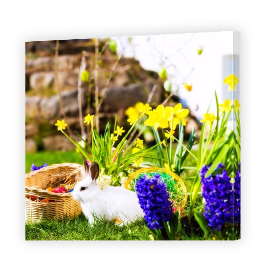 Thumbnail for Canvas - Mirror Image Canvas Wrap