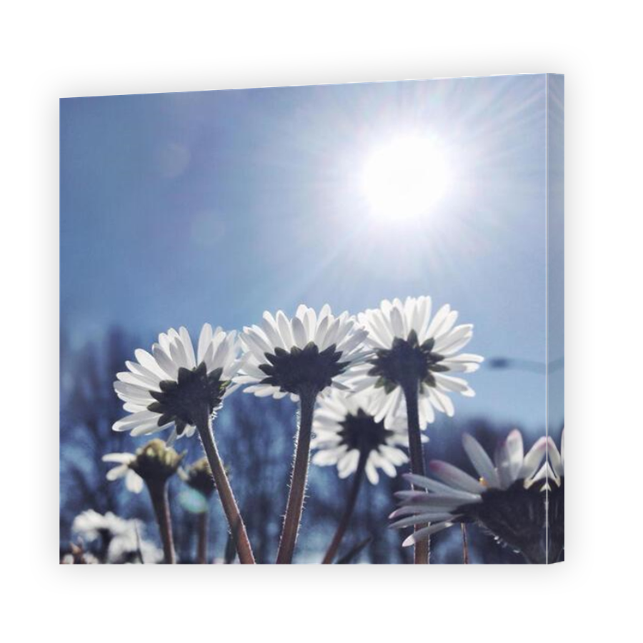 Thumbnail for Canvas - Mirror Image Canvas Wrap
