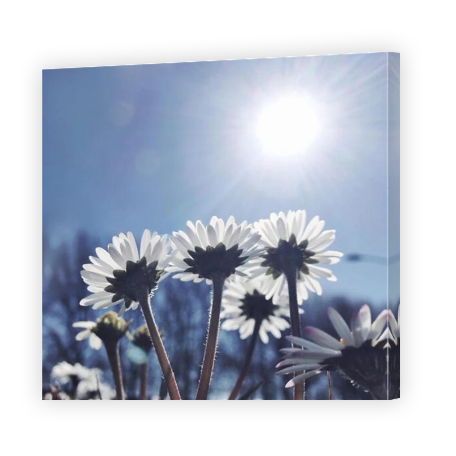 Thumbnail for Canvas - Mirror Image Canvas Wrap