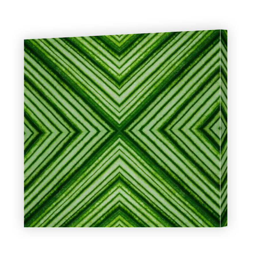 Thumbnail for Canvas - Mirror Image Canvas Wrap
