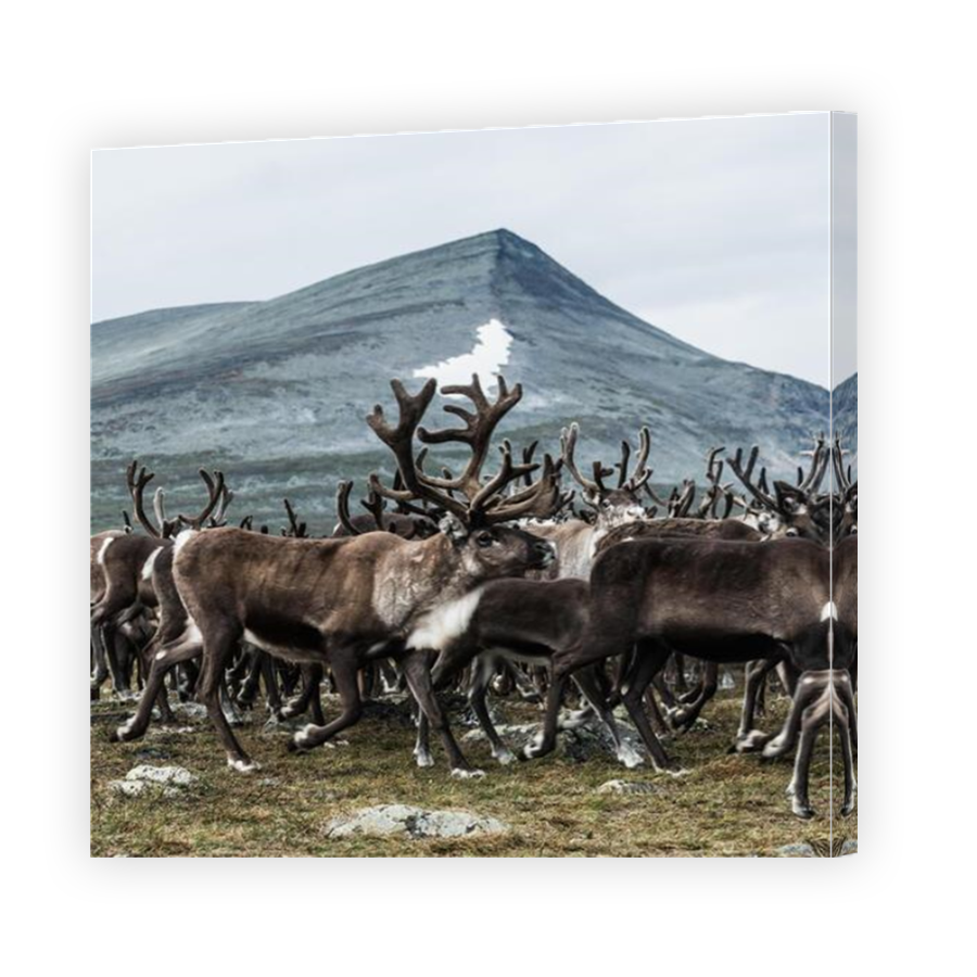Thumbnail for Canvas - Mirror Image Canvas Wrap