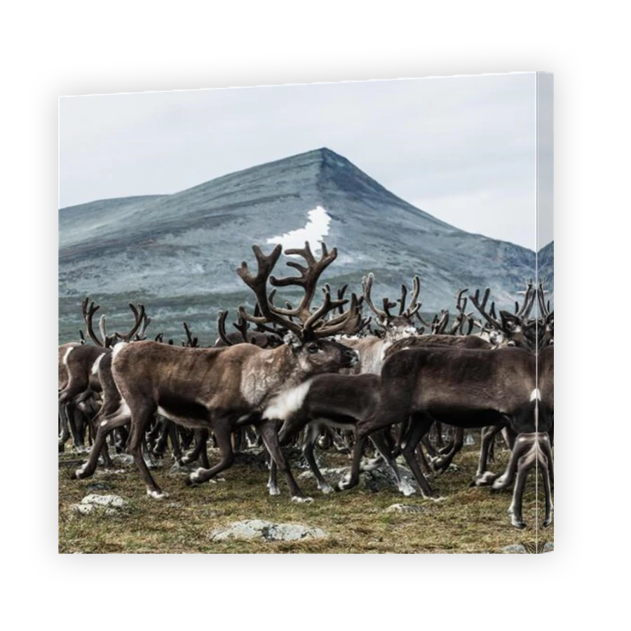 Thumbnail for Canvas - Mirror Image Canvas Wrap