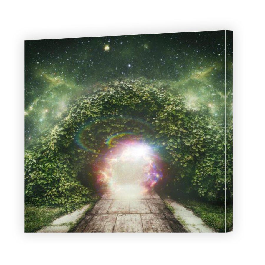 Thumbnail for Canvas - Mirror Image Canvas Wrap