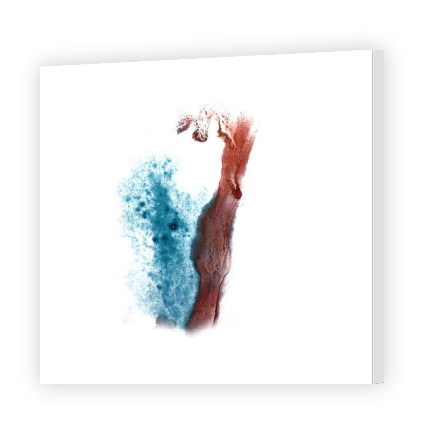 Thumbnail for Canvas - Mirror Image Canvas Wrap