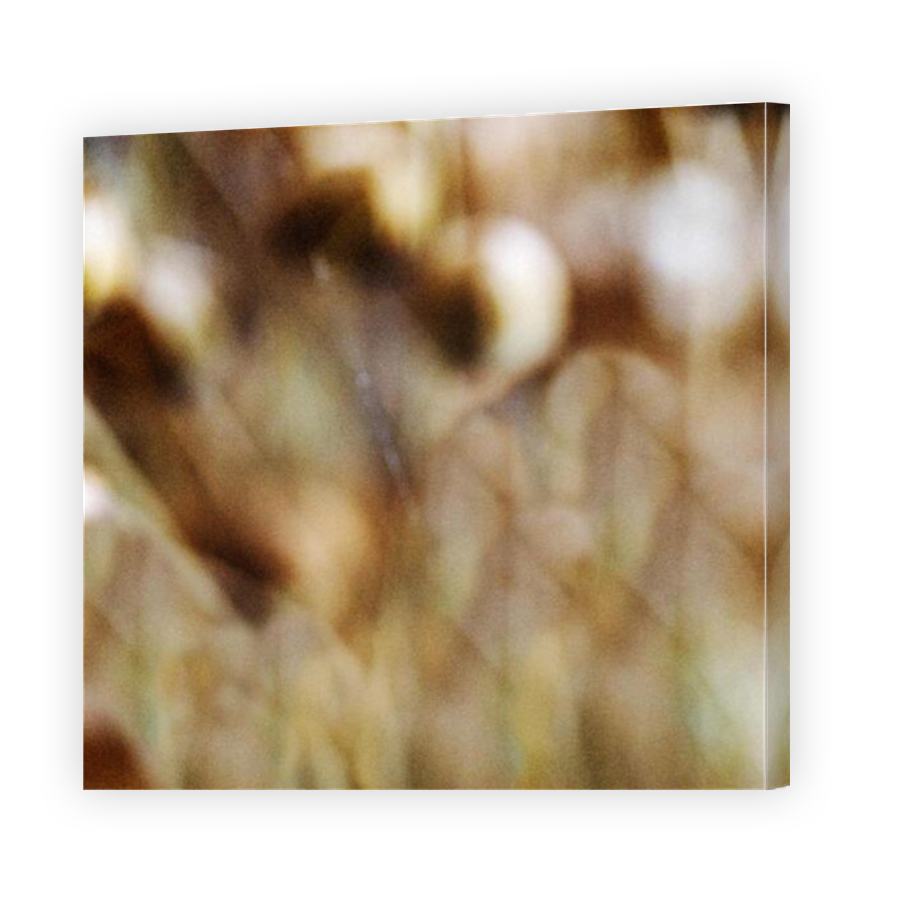Thumbnail for Canvas - Mirror Image Canvas Wrap