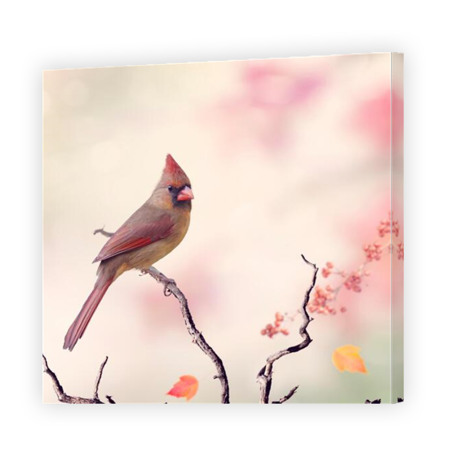 Thumbnail for Canvas - Mirror Image Canvas Wrap