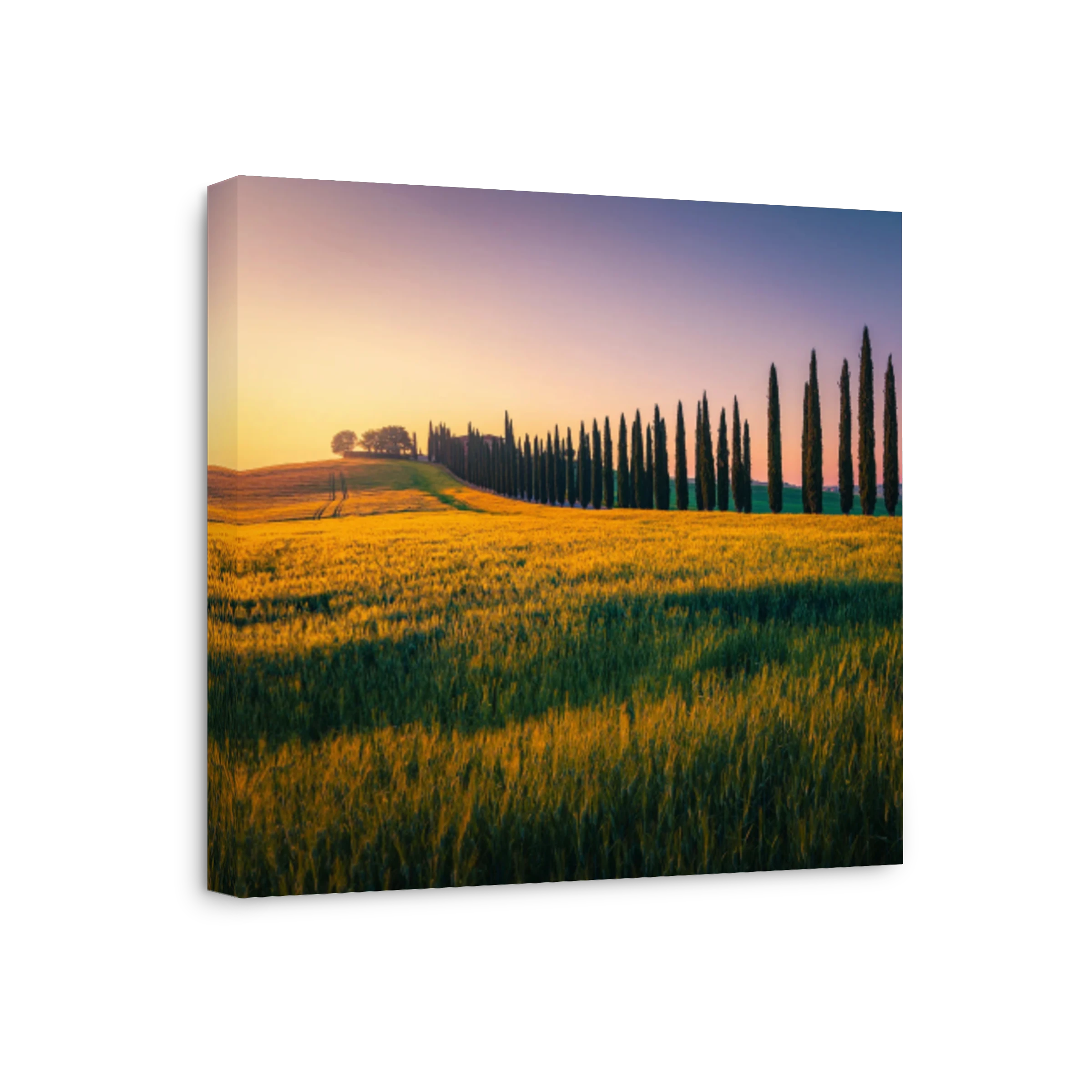 Tuscan Landscape with Cypress Trees | Canvas Factory