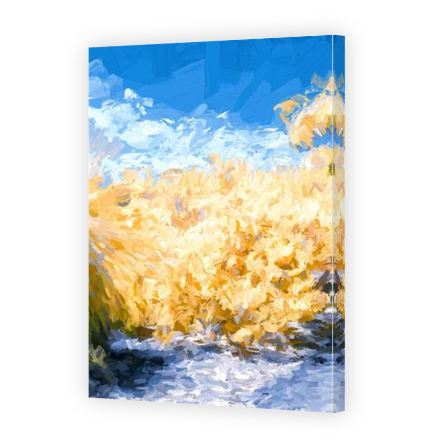 Thumbnail for Canvas - Mirror Image Canvas Wrap