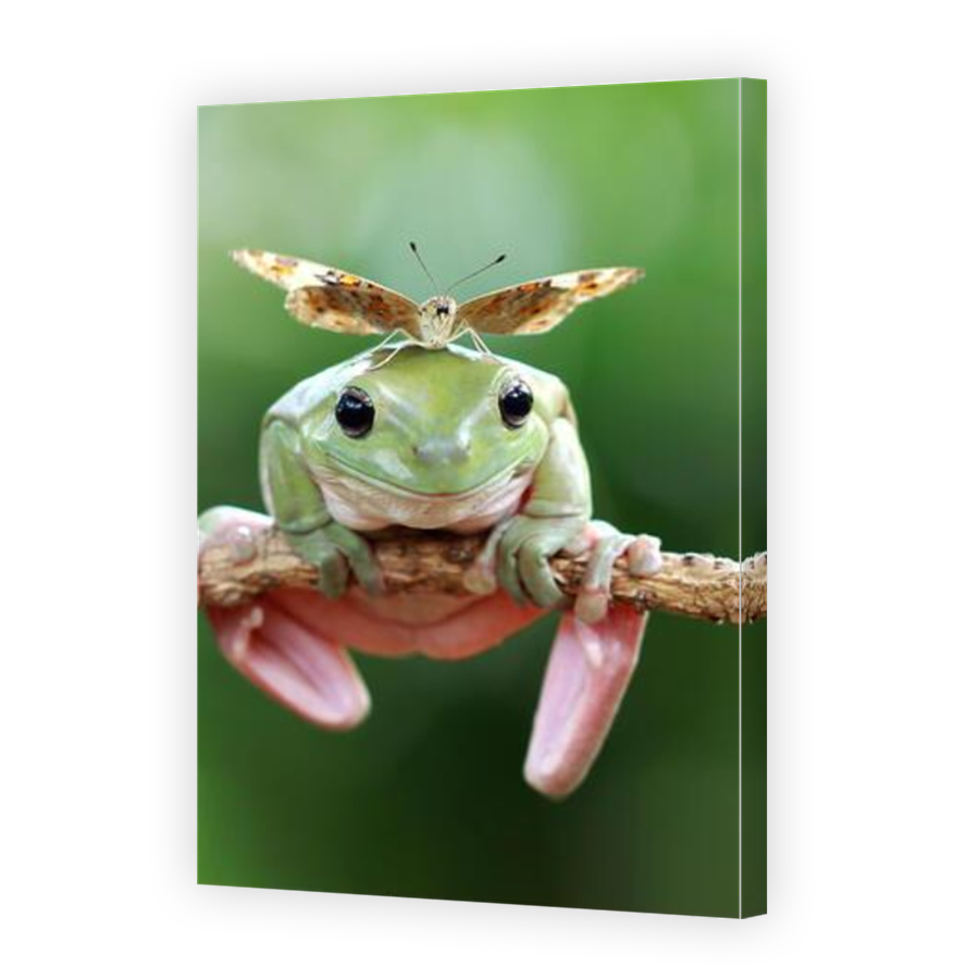 Thumbnail for Canvas - Mirror Image Canvas Wrap