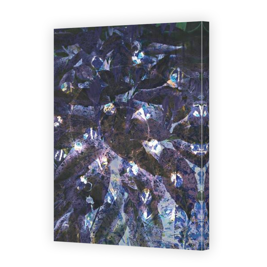 Thumbnail for Canvas - Mirror Image Canvas Wrap