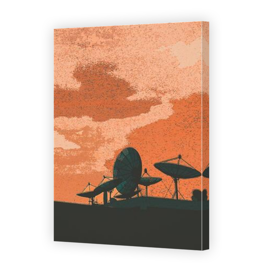 Thumbnail for Canvas - Mirror Image Canvas Wrap