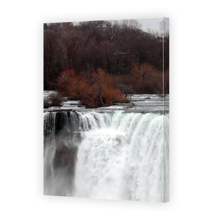 Thumbnail for Canvas - Mirror Image Canvas Wrap
