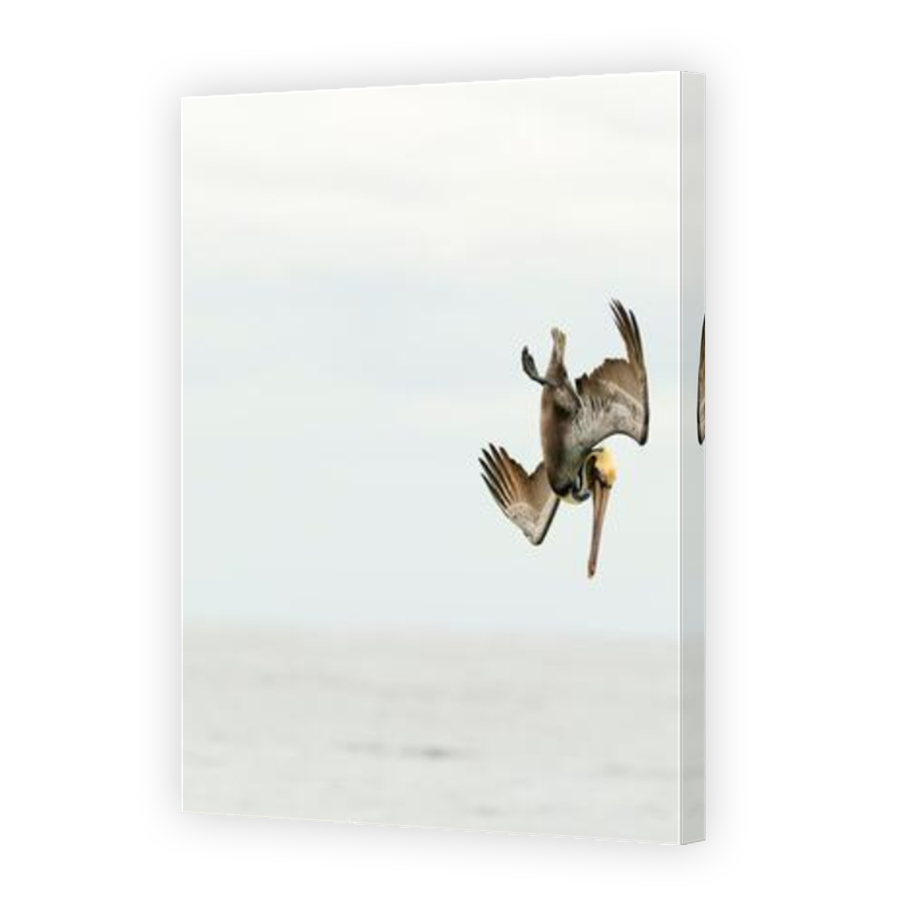 Thumbnail for Canvas - Mirror Image Canvas Wrap