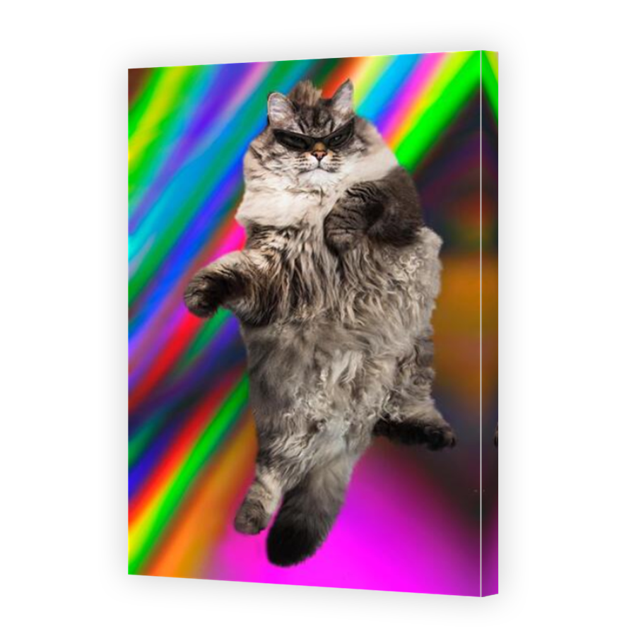 Thumbnail for Canvas - Mirror Image Canvas Wrap