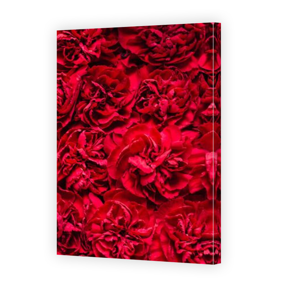 Thumbnail for Canvas - Mirror Image Canvas Wrap