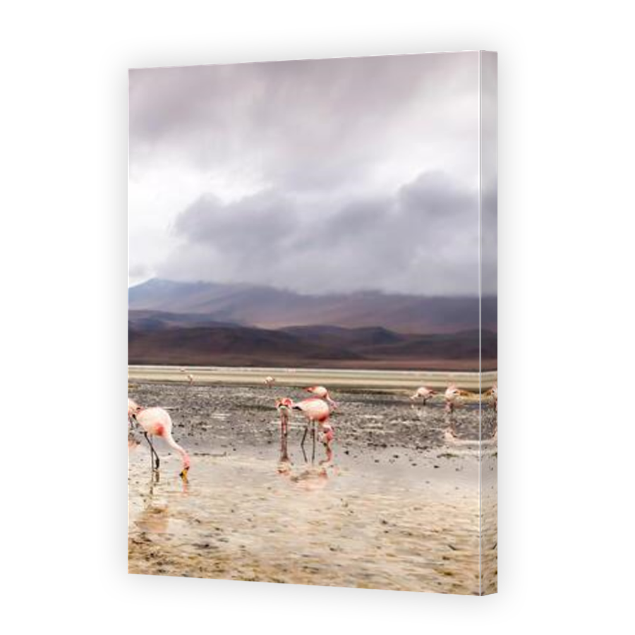 Thumbnail for Canvas - Mirror Image Canvas Wrap