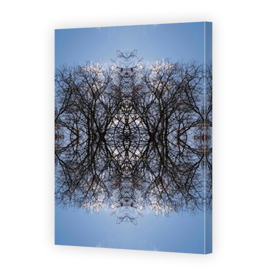 Thumbnail for Canvas - Mirror Image Canvas Wrap