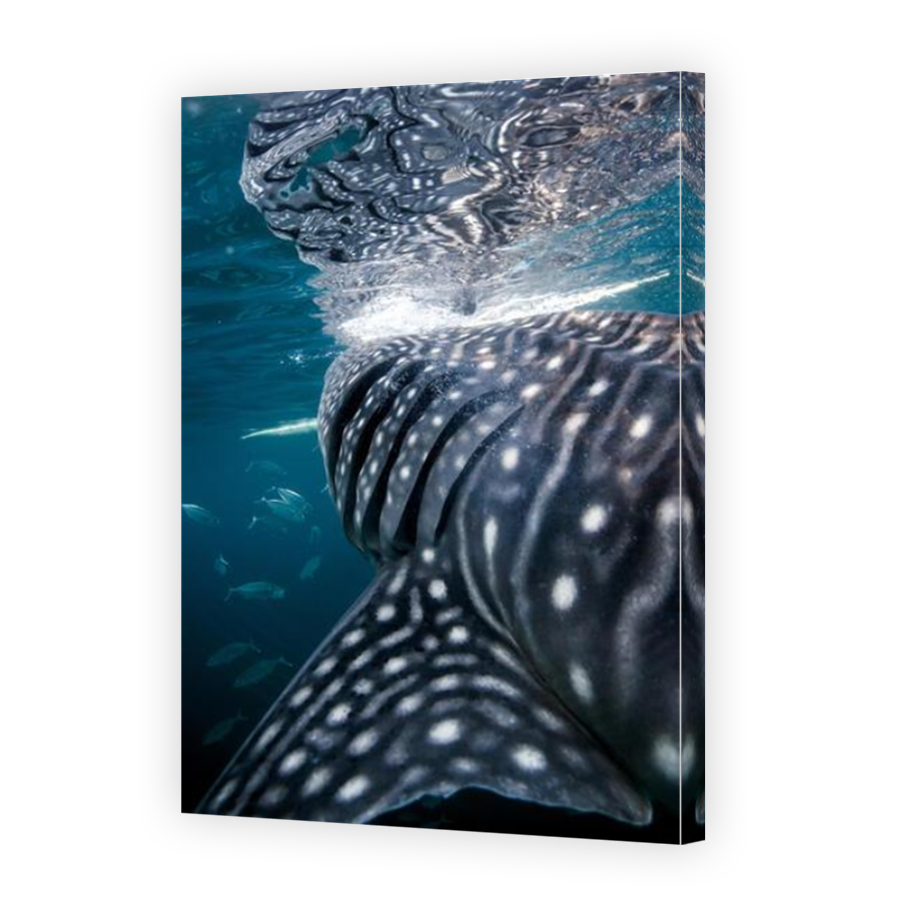 Thumbnail for Canvas - Mirror Image Canvas Wrap