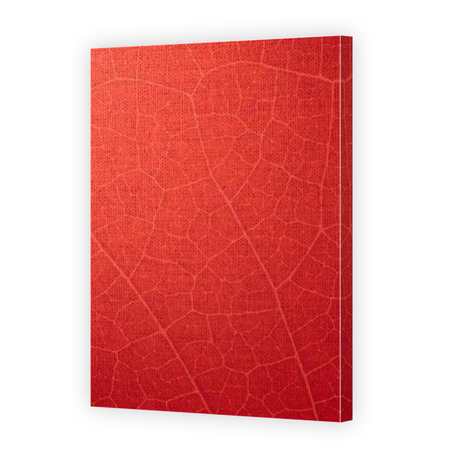 Thumbnail for Canvas - Mirror Image Canvas Wrap