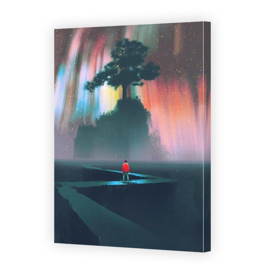 Thumbnail for Canvas - Mirror Image Canvas Wrap