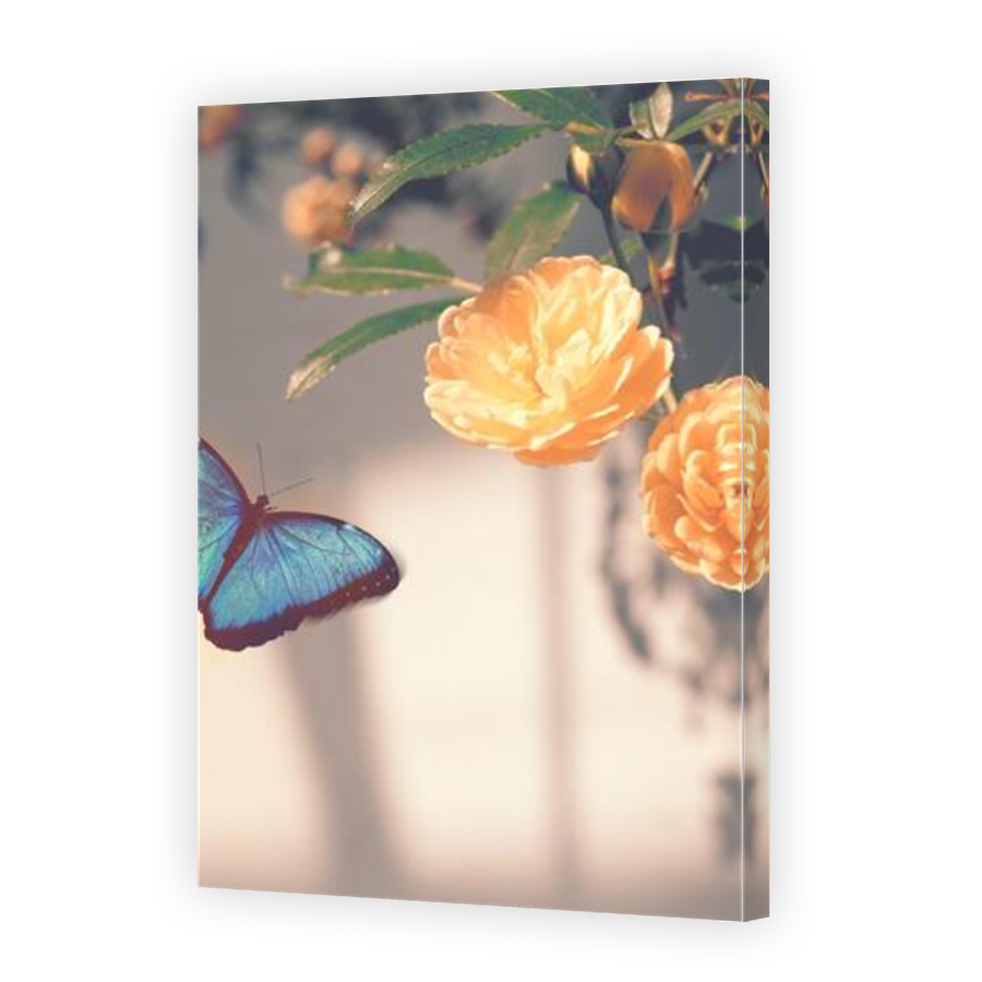 Thumbnail for Canvas - Mirror Image Canvas Wrap