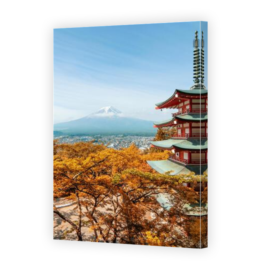 Thumbnail for Canvas - Mirror Image Canvas Wrap
