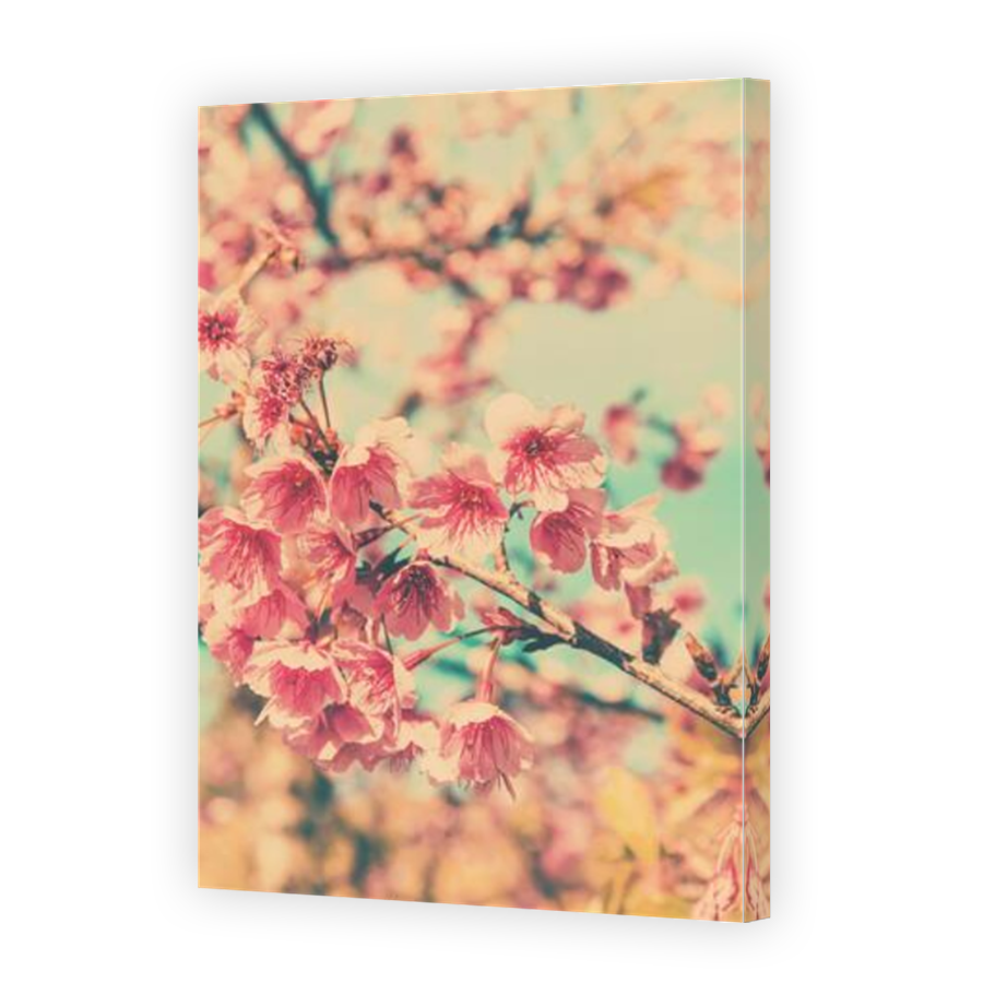 Thumbnail for Canvas - Mirror Image Canvas Wrap