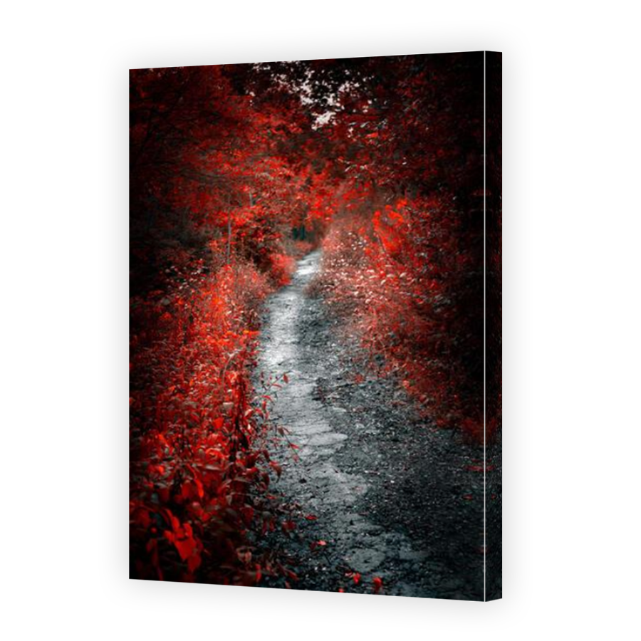 Thumbnail for Canvas - Mirror Image Canvas Wrap