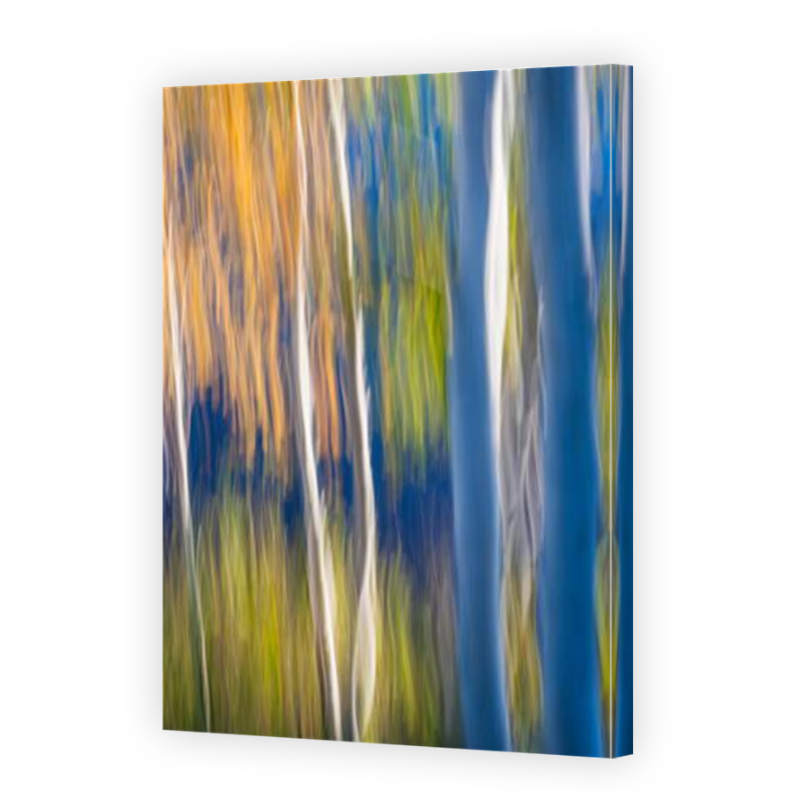 Thumbnail for Canvas - Mirror Image Canvas Wrap
