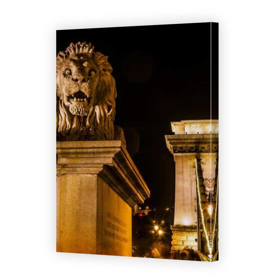 Thumbnail for Canvas - Mirror Image Canvas Wrap