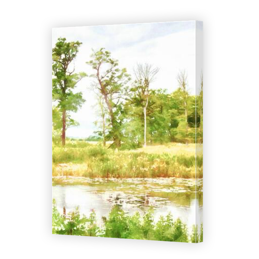 Thumbnail for Canvas - Mirror Image Canvas Wrap