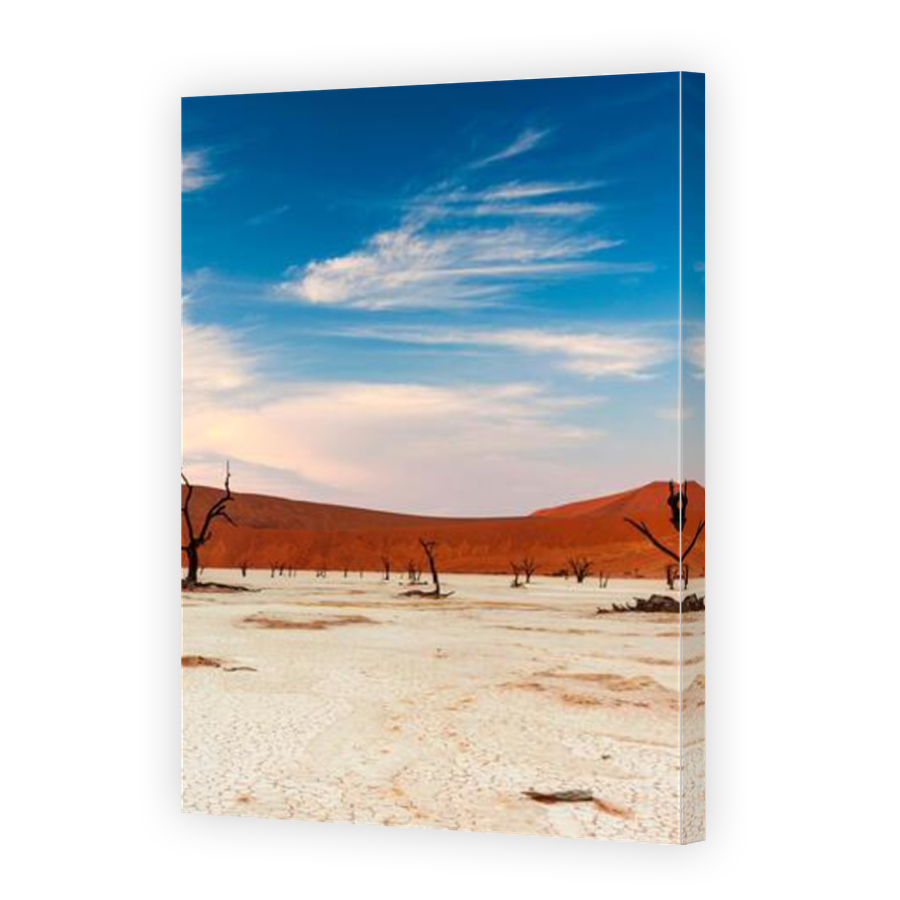 Thumbnail for Canvas - Mirror Image Canvas Wrap
