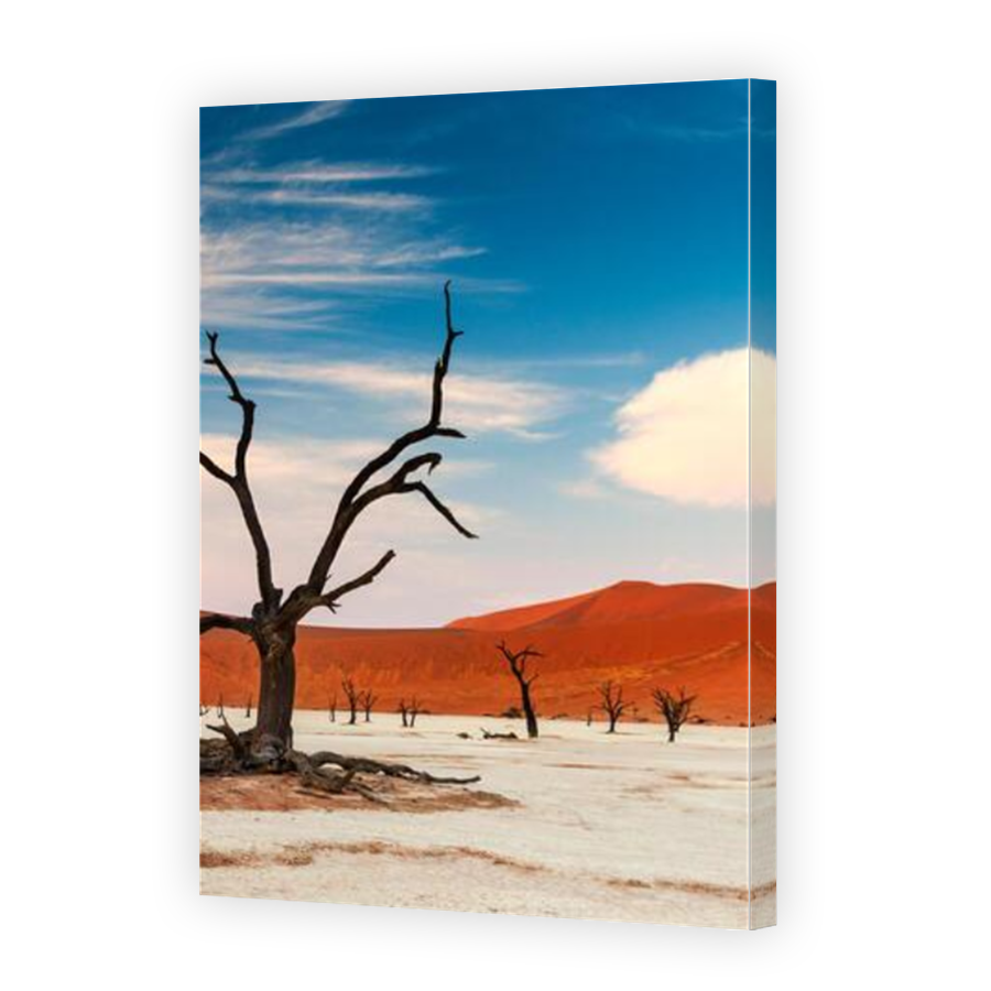 Thumbnail for Canvas - Mirror Image Canvas Wrap