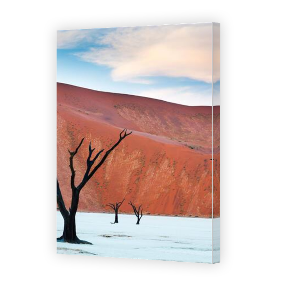 Thumbnail for Canvas - Mirror Image Canvas Wrap