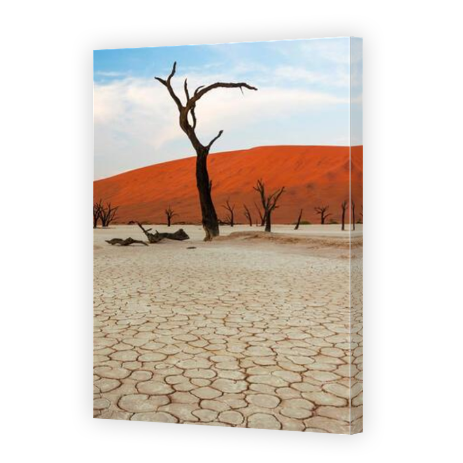 Thumbnail for Canvas - Mirror Image Canvas Wrap