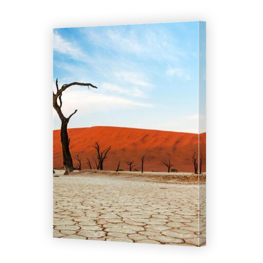 Thumbnail for Canvas - Mirror Image Canvas Wrap