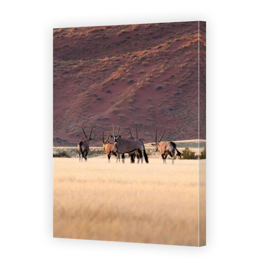 Thumbnail for Canvas - Mirror Image Canvas Wrap